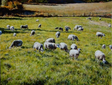 Pastorale en Lozère (48)